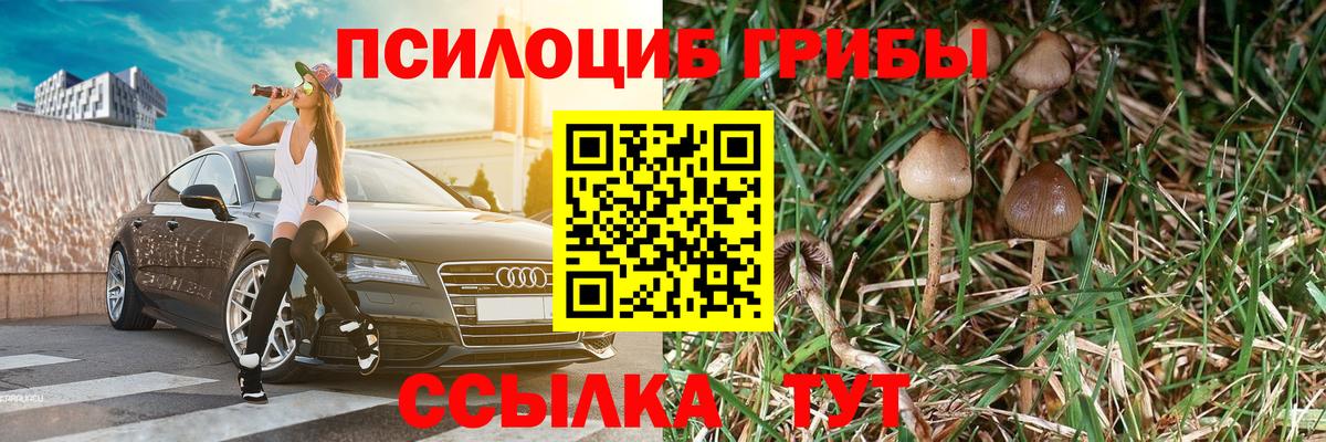 Галлюциногенные грибы Psilocybine cubensis  где можно купить   Сосновоборск  Вход с VPN 
